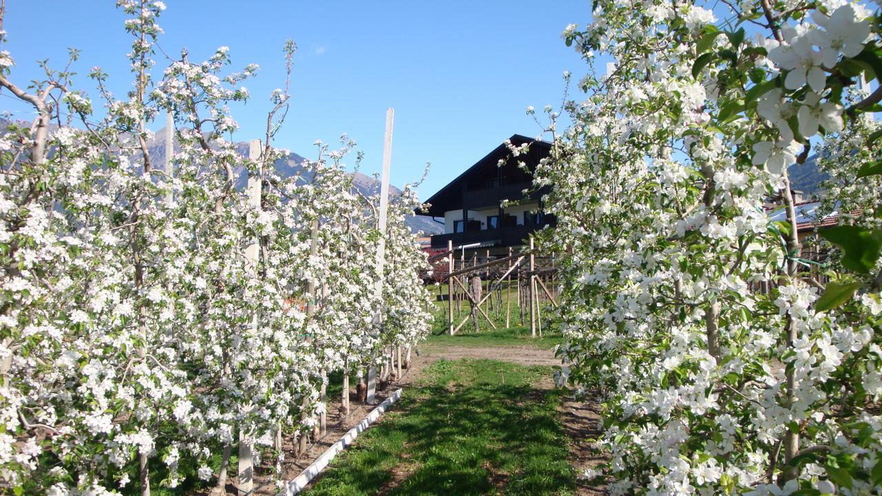 Pension Appartment Hecherhof Merano Luaran gambar